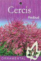 Cercis-canadensis-Eastern-Redbud-1
